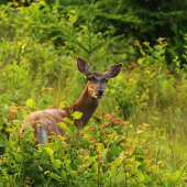 pohľad do objektívu...