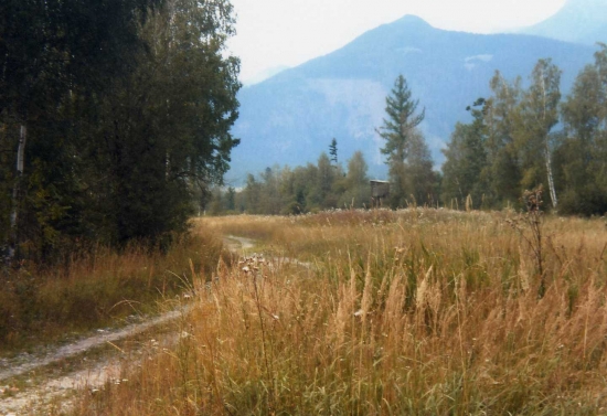 Jeden z mojich oblubenych