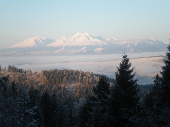 V.Tatry z Levočských vrchov