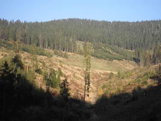 Jesenná scenéria