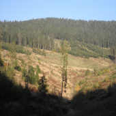 Jesenná scenéria