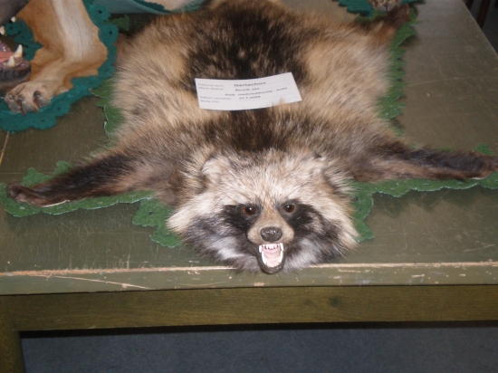 Chovatelska prehliadka