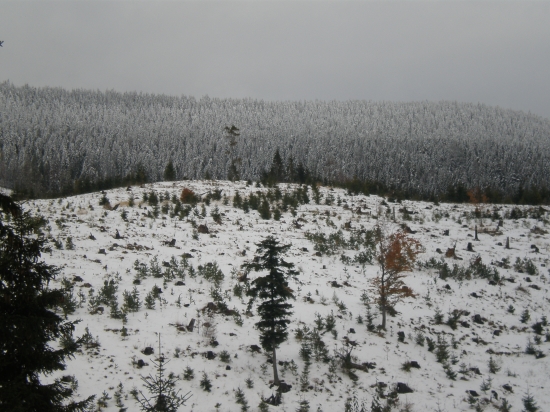 zimná krajina