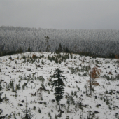 zimná krajina
