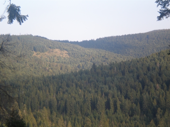 Levočské vrchy