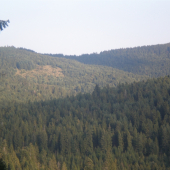 Levočské vrchy
