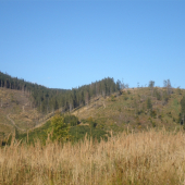 Pod Ihlou