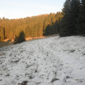 prvý sneh