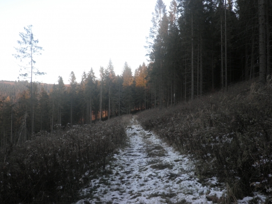cestička