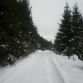 nasnežilo
