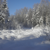 Zima 2010