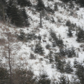 trochu daleko