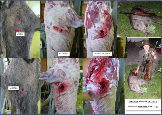 Brenneke TUG 11,7g v 308Win (ZKK601)