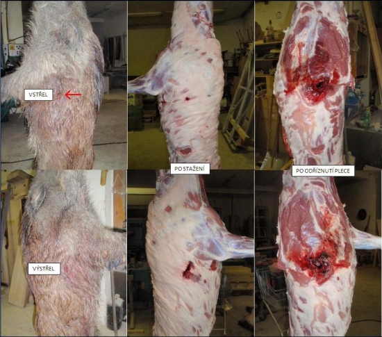 S&B SP 11,7g v 308Win (ZKK601)