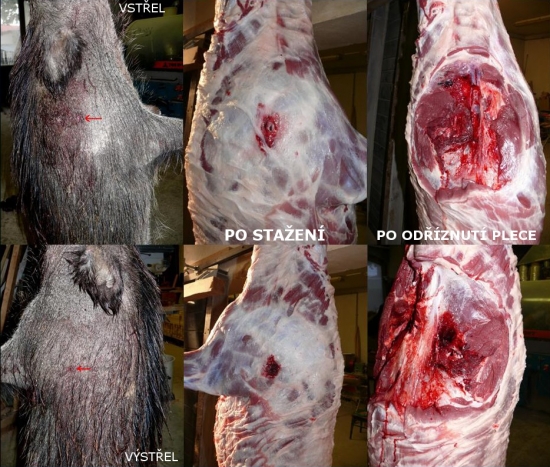 Brenneke TUG 11,7g v 308Win (ZKK601)