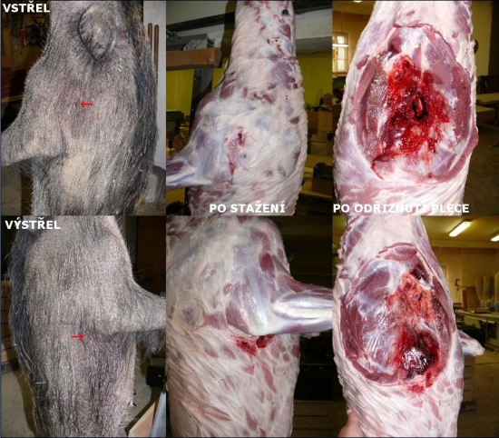 Brenneke TUG 11,7g v 308Win (ZKK601)