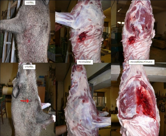 Brenneke TUG 11,7g v 308Win (ZKK601)