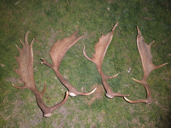 Moja lopatia zbierka