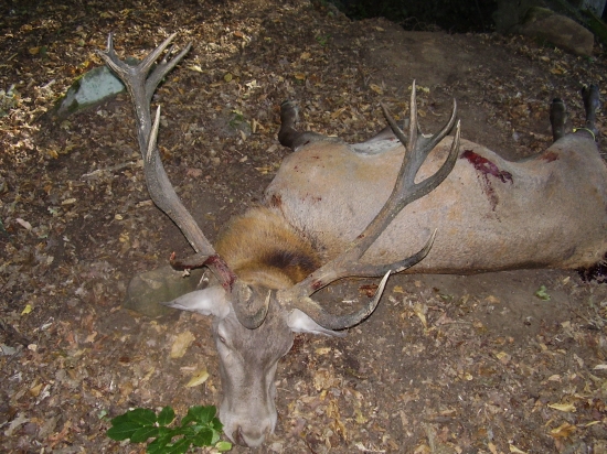 Sezóna 2009
