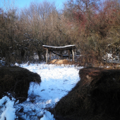 Včerajšie prikrmovanie