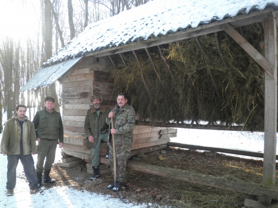 Včerajšie prikrmovanie