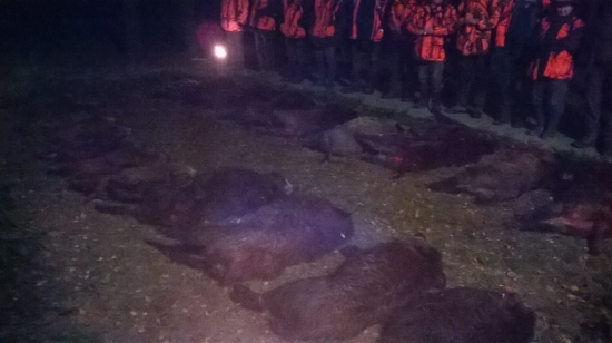 Vydarená spoločná