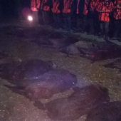 Vydarená spoločná