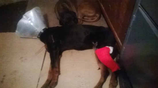 Ďalšie vážne zranenie