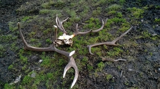 Tak malo stačí k radosti