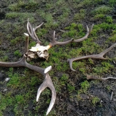 Tak malo stačí k radosti