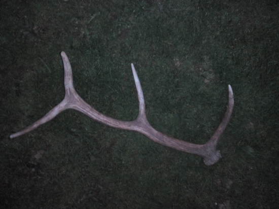 Poobedňajšia siesta