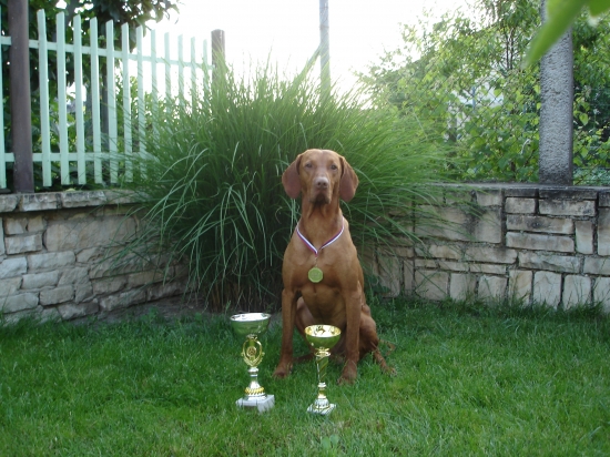 Klubový víťaz a BOB 2011