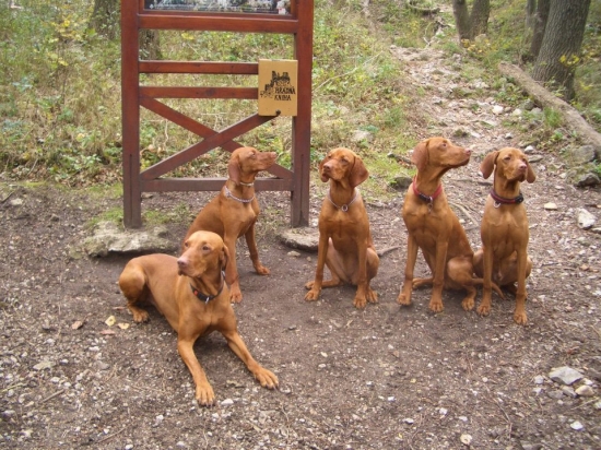 otec s 1/2 ročnými deťmi