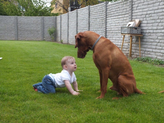 ...po 7 mesiacoch....