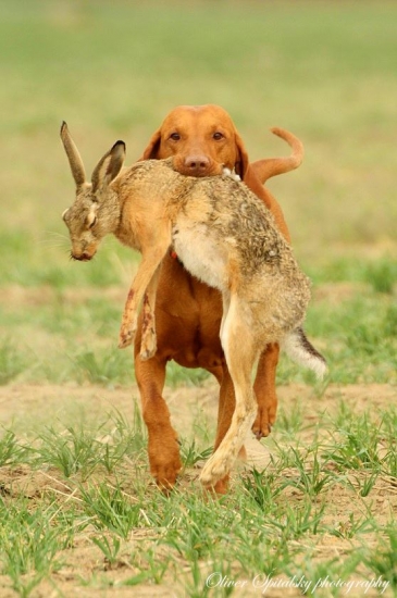 Memoriál B.Zemku 2012