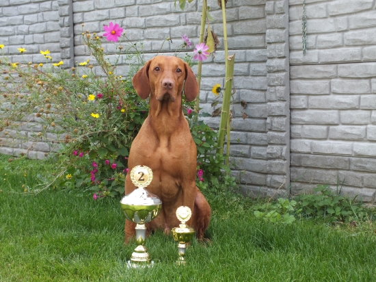 Memoriál Karla Podhajského 2012