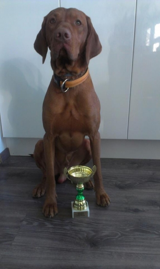 Geron Nitrianske Janíkovce- - víťaz klubových skúšok vlôh