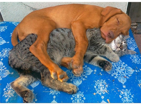 skúška ostrosti? :)))