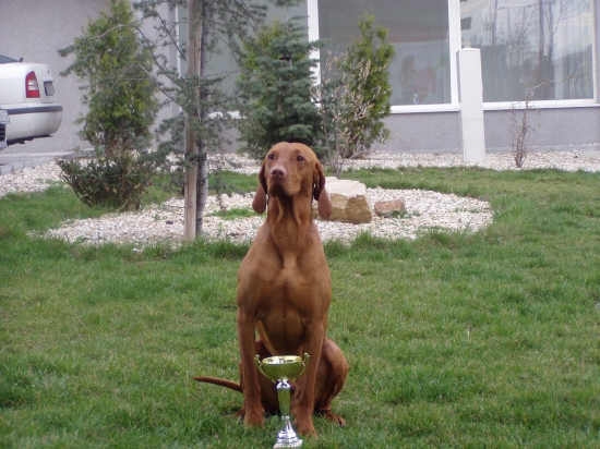 ...a takto som vyrástol!