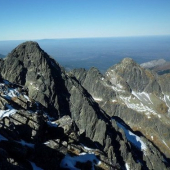 Veľký pyšný štít