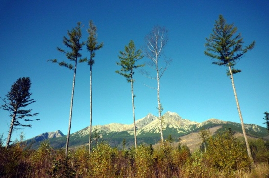 šesť statočných