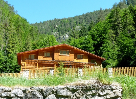 Čierný bocian po novom