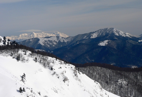 Salatín a Tatry
