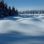 Kráľová hoľa z Knoly