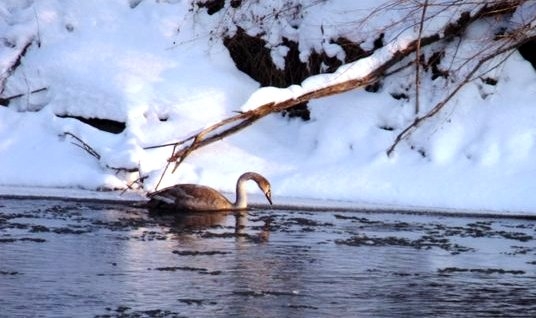 Na rieke Poprad