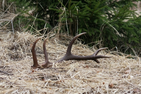 jeden z tých šťastných dní