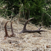 jeden z tých šťastných dní