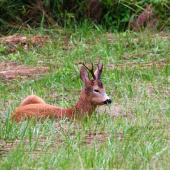 zaslúžený odpočinok...