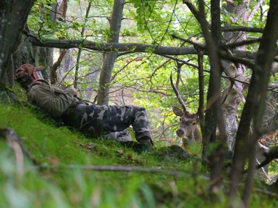 Tak toto bolo o fúz ...