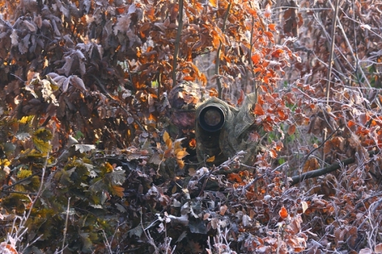 jarda - foto pri fotolove